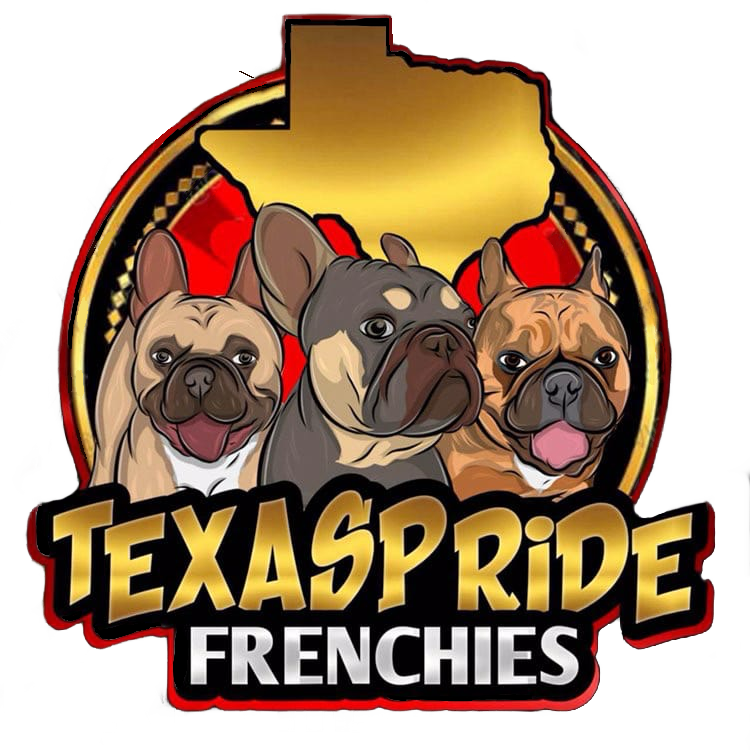 Texas Pride Frenchies